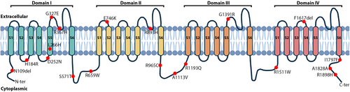 Details are in the caption following the image Details are in the caption following the image