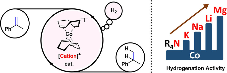 Counterion Effect in Cobaltate-Catalyzed Alkene Hydrogenation