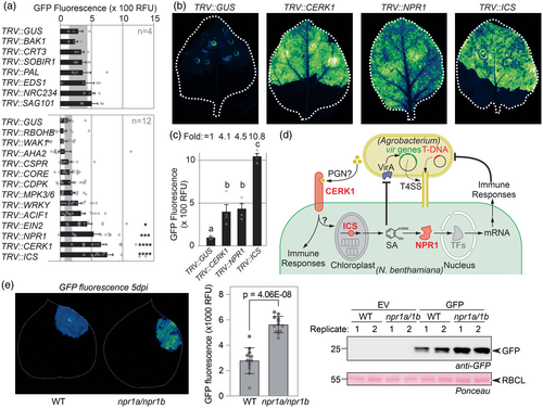 Details are in the caption following the image Details are in the caption following the image