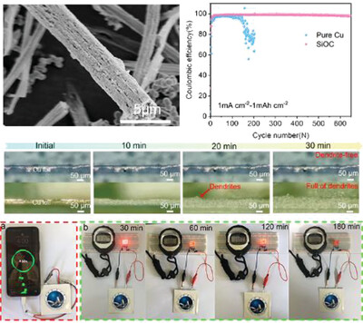 Two Birds with One Stone: Micro/Nanostructured SiOxCy Composites for Stable Li-Ion and Li Metal Anodes