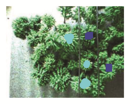 Details are in the caption following the image Details are in the caption following the image