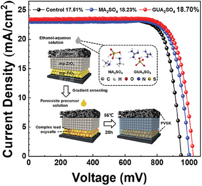 Dual Defect Passivation at the Buried Interface for Printable Mesoscopic Perovskite Solar Cells with Reduced Open-Circuit Voltage Loss