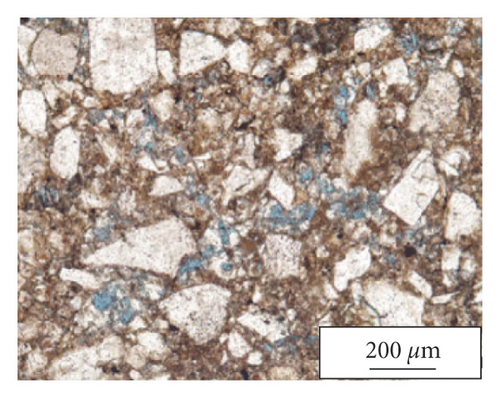 Details are in the caption following the image