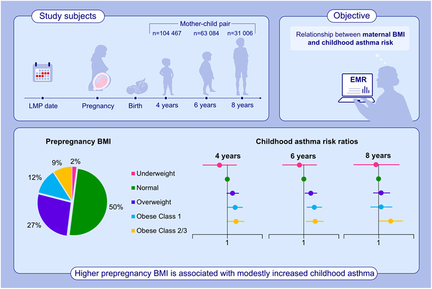 Prepregnancy body mass index and risk of childhood asthma