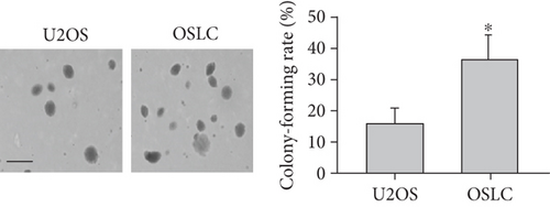 Details are in the caption following the image