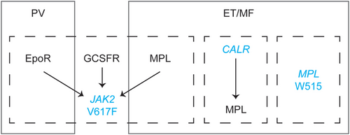 Details are in the caption following the image