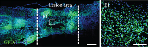 Details are in the caption following the image
