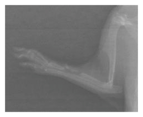 Details are in the caption following the image