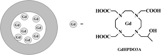 Compartmentalization of a Gadolinium Complex in the Apoferritin Cavity: A Route To Obtain High Relaxivity Contrast Agents for Magnetic Resonance Imaging