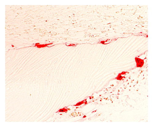 Details are in the caption following the image