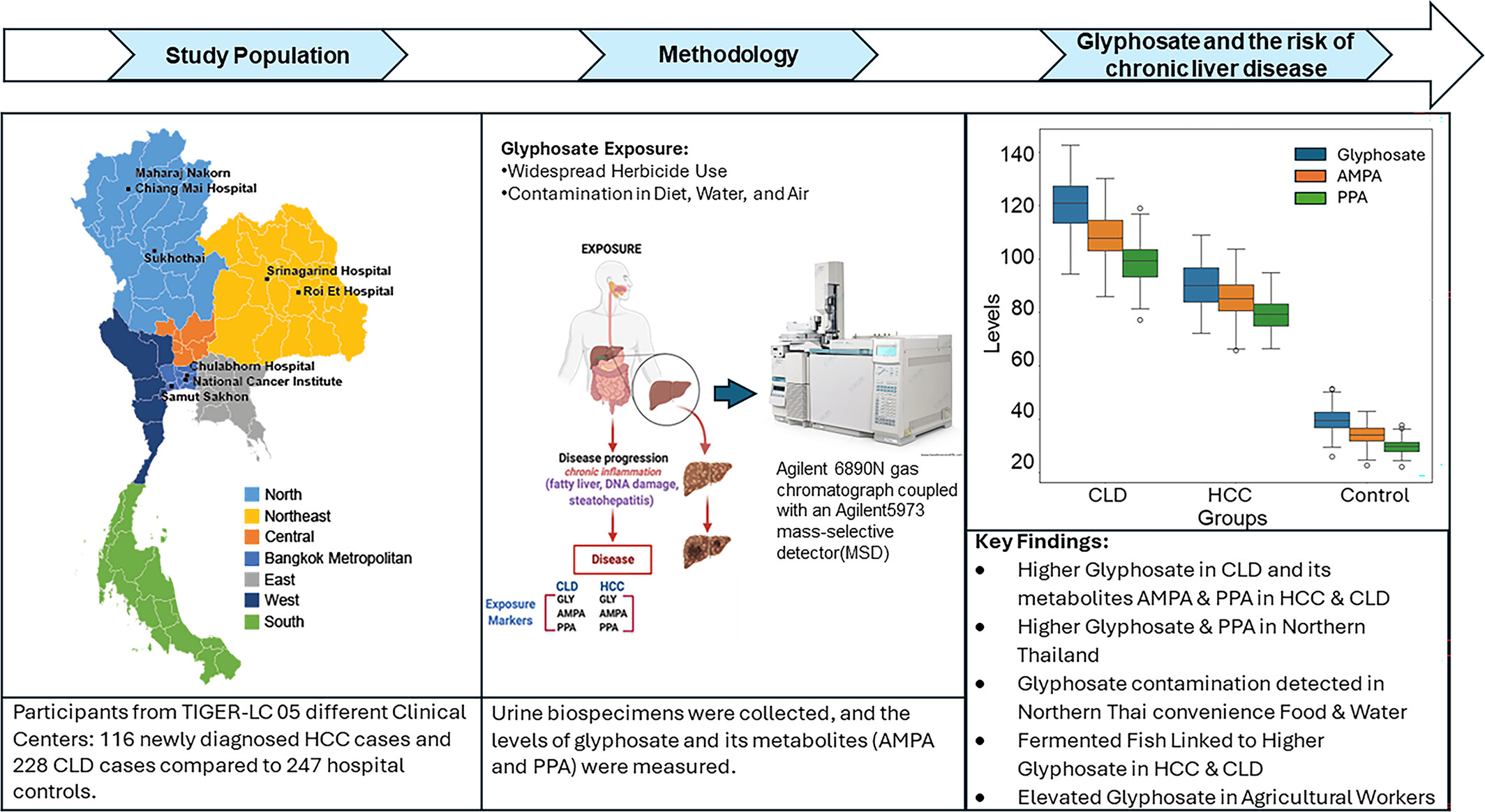 Associations of chronic liver disease and liver cancer with glyphosate and its metabolites in Thailand