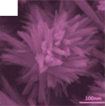 Details are in the caption following the image