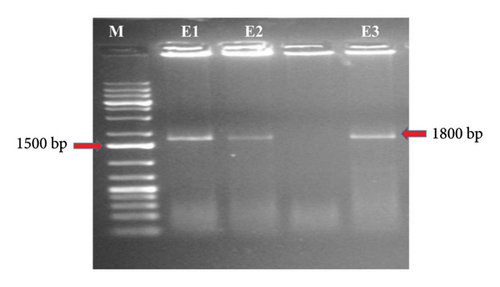 Details are in the caption following the image