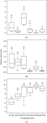 Details are in the caption following the image Details are in the caption following the image