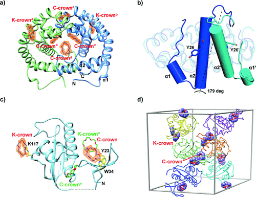 Details are in the caption following the image Details are in the caption following the image