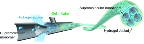 Meter-Long and Robust Supramolecular Strands Encapsulated in Hydrogel Jackets