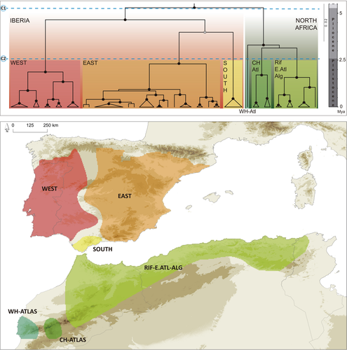 Details are in the caption following the image Details are in the caption following the image