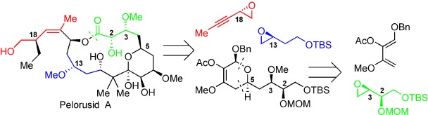 An Enantioselective Total Synthesis of (+)-Peloruside A