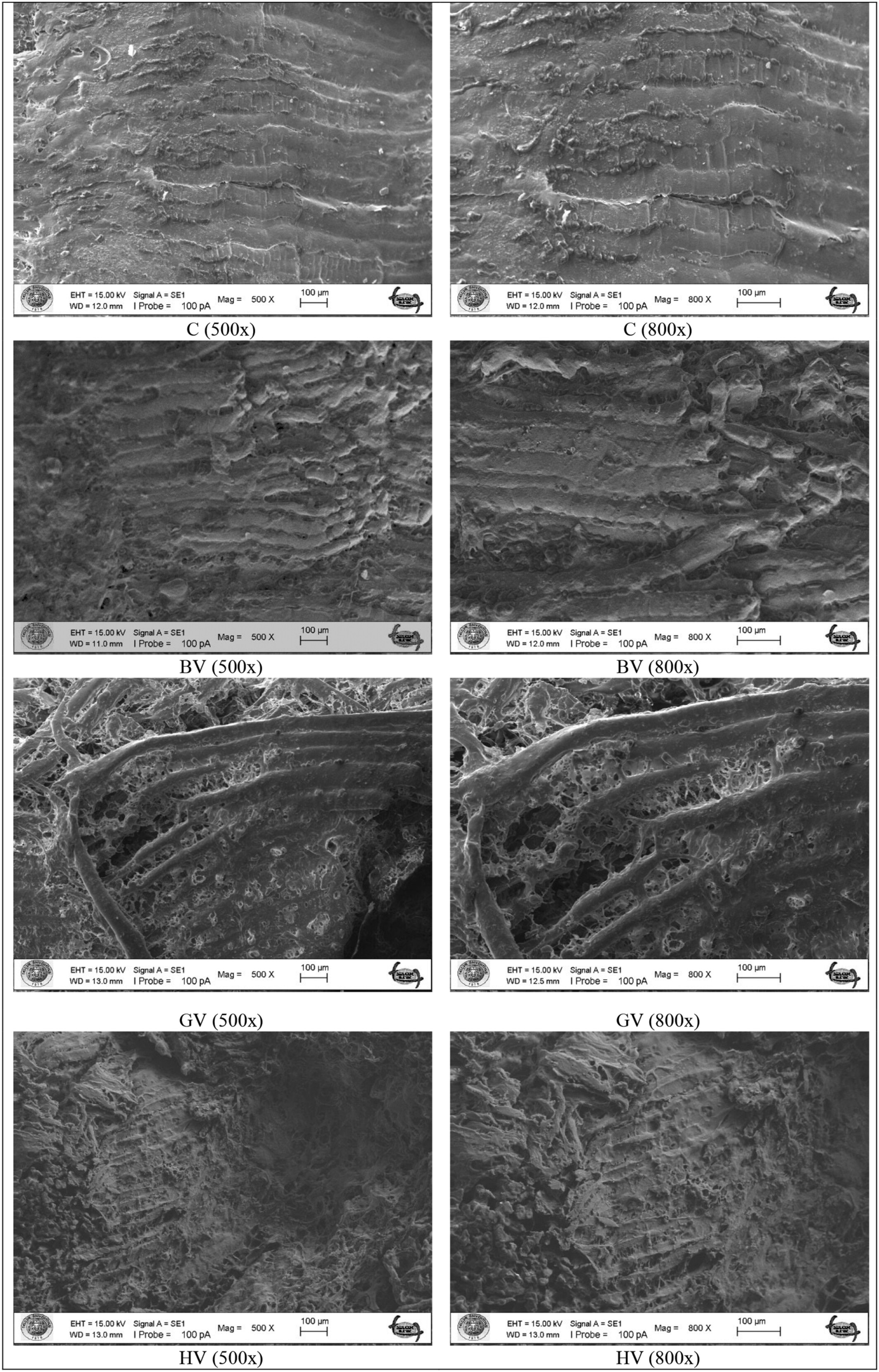 Improving the textural and microstructural quality of cow meat by black chokeberry, grape, and hawthorn vinegar-based marination