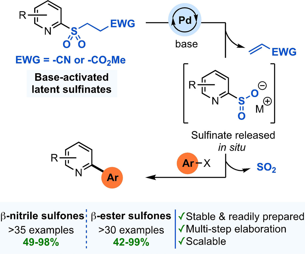 Base-Activated Latent Heteroaromatic Sulfinates as Nucleophilic Coupling Partners in Palladium-Catalyzed Cross-Coupling Reactions