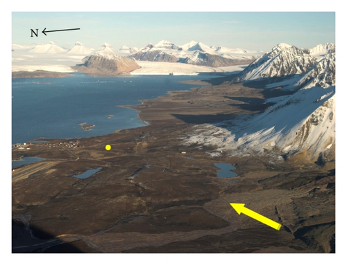 Details are in the caption following the image Details are in the caption following the image