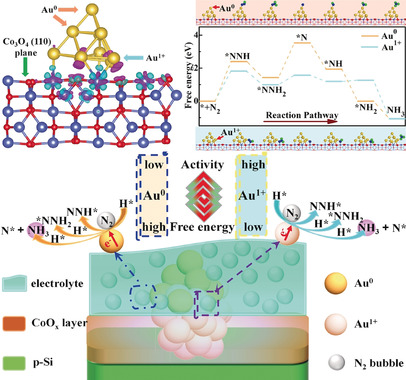 Tuning the Electron Localization of Gold Enables the Control of Nitrogen-to-Ammonia Fixation