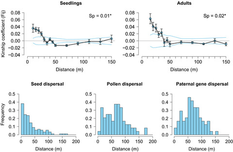 Limited seed dispersal shapes fine-scale spatial genetic structure in a Neotropical dioecious large-seeded palm