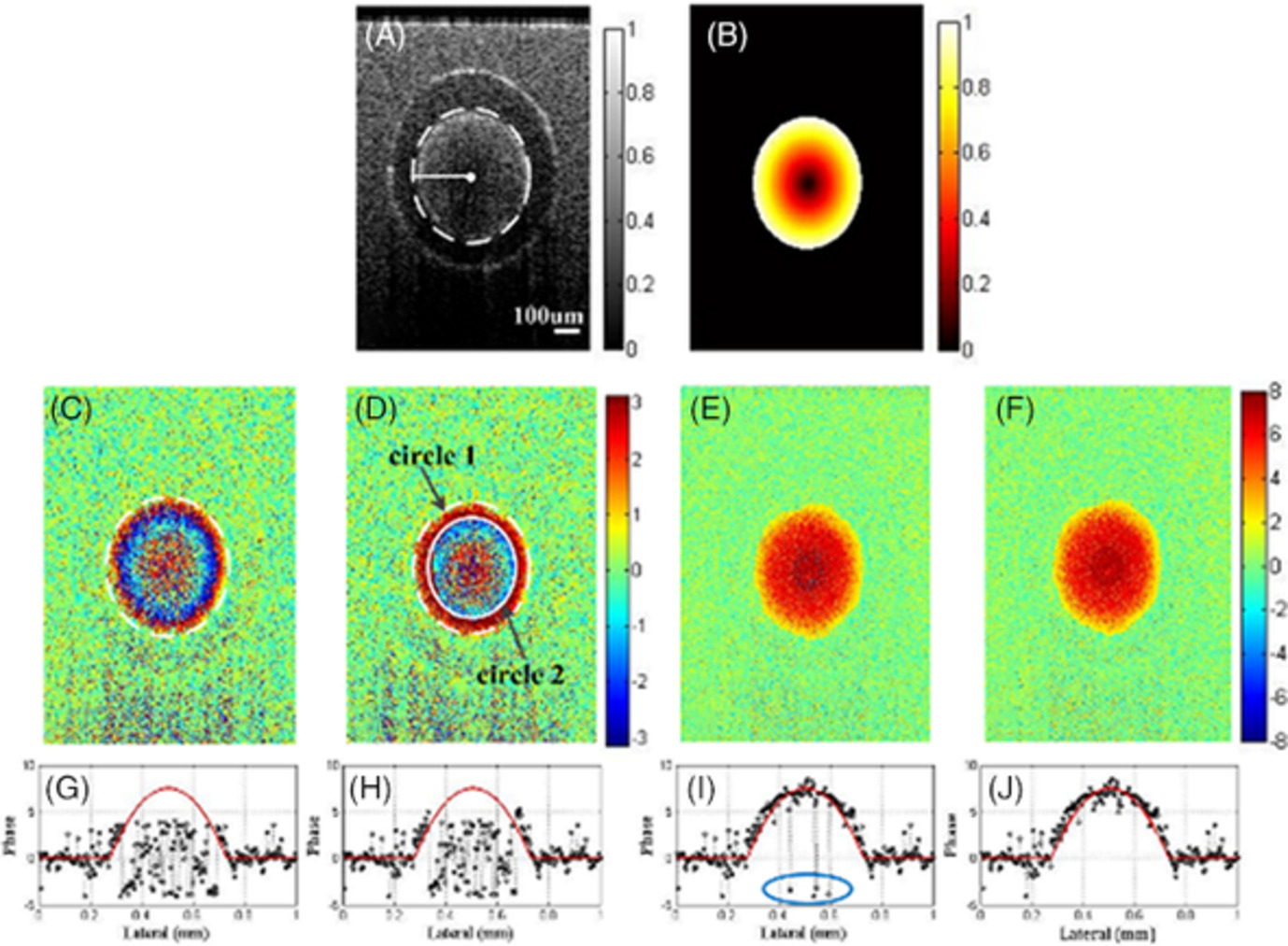 Phase unwrapping for Doppler spectral domain optical coherence tomography flow measurement