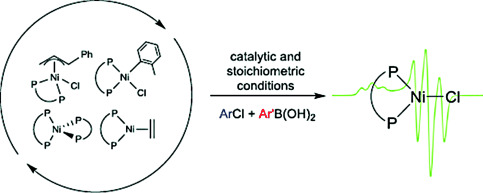 Comparison of dppf-Supported Nickel Precatalysts for the Suzuki–Miyaura Reaction: The Observation and Activity of Nickel(I)