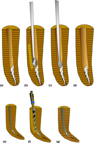 Details are in the caption following the image Details are in the caption following the image