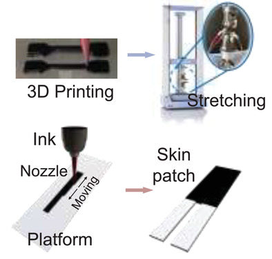Strain Sensing Behavior of 3D Printable and Wearable Conductive Polymer Composites Filled with Silane-Modified MWCNTs