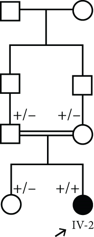 Details are in the caption following the image
