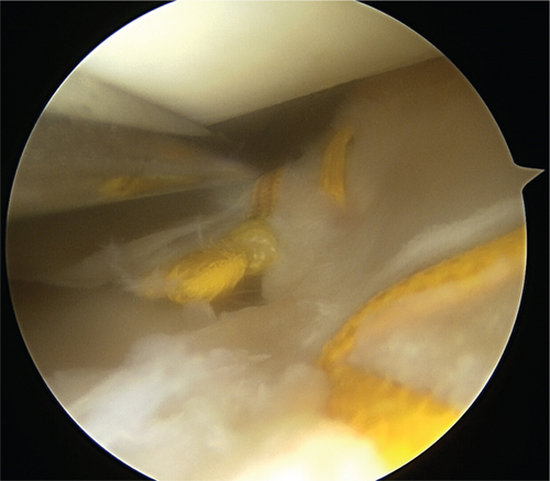 Details are in the caption following the image Details are in the caption following the image