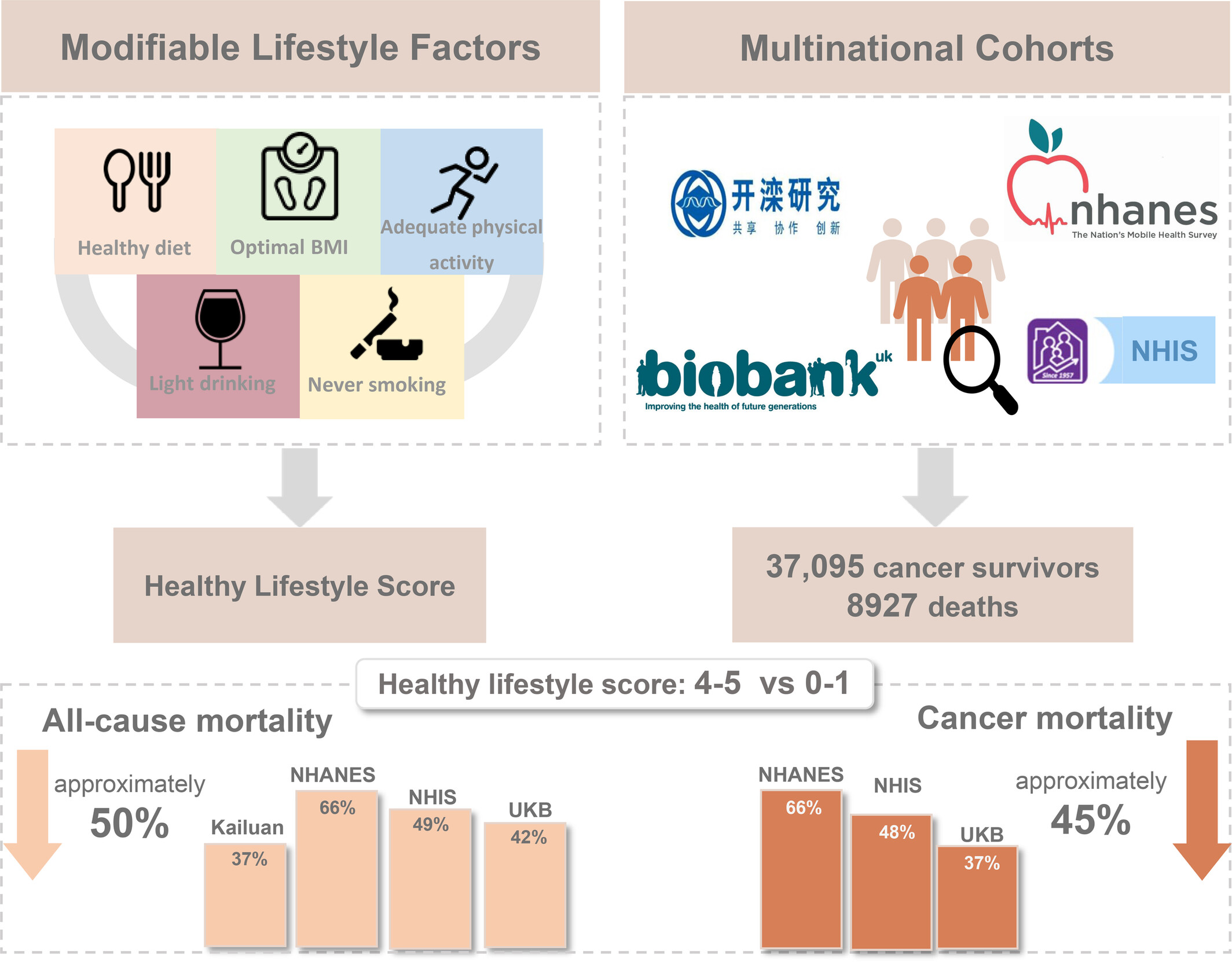 Healthy lifestyle and cancer survival: A multinational cohort study