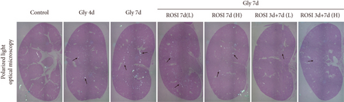 Details are in the caption following the image Details are in the caption following the image