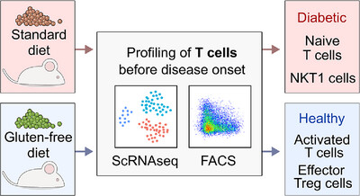 Gluten-Free Diet Induces Small-Scale Changes Across Multiple T-Cell Subsets in NOD Mice