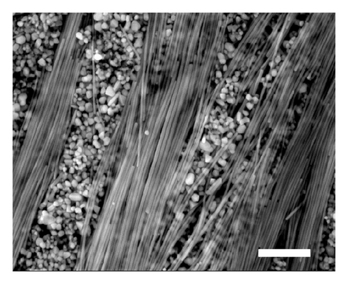 Details are in the caption following the image