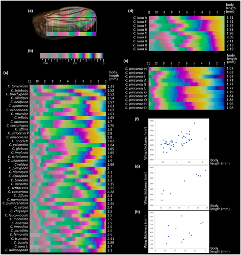 Details are in the caption following the image Details are in the caption following the image