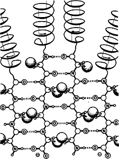 Precipitates with β-Pleated Sheet Structure by Mixing Aqueous Solutions of Helical Poly(D-lysine) and Poly(L-lysine)