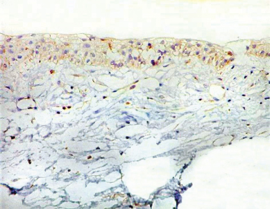 Details are in the caption following the image