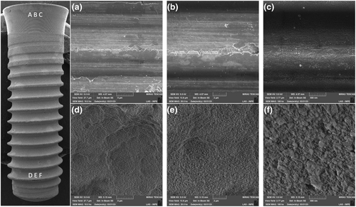 Details are in the caption following the image Details are in the caption following the image