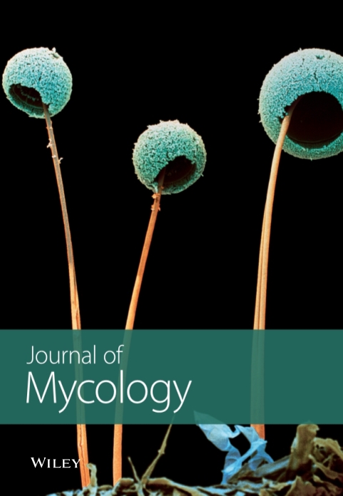 All articles