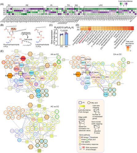 Details are in the caption following the image Details are in the caption following the image