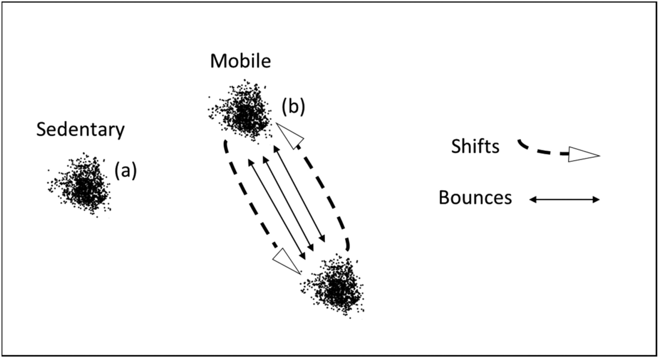 Rutting and rambling: Movement characteristics reveal partial migration in adult male white-tailed deer at a latitude void of chronic and severe environmental fluctuations