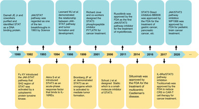 STAT3 pathway in cancers: Past, present, and future