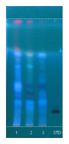 Details are in the caption following the image