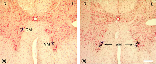 Details are in the caption following the image Details are in the caption following the image