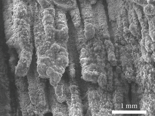 Details are in the caption following the image