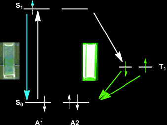 Metal-Free Triplet Phosphors with High Emission Efficiency and High Tunability