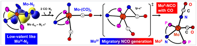 Reductive N2 Cleavage and Nitride Insertion Reactivity at Molybdenum Complexes Supported by a Rigid PNP Pincer